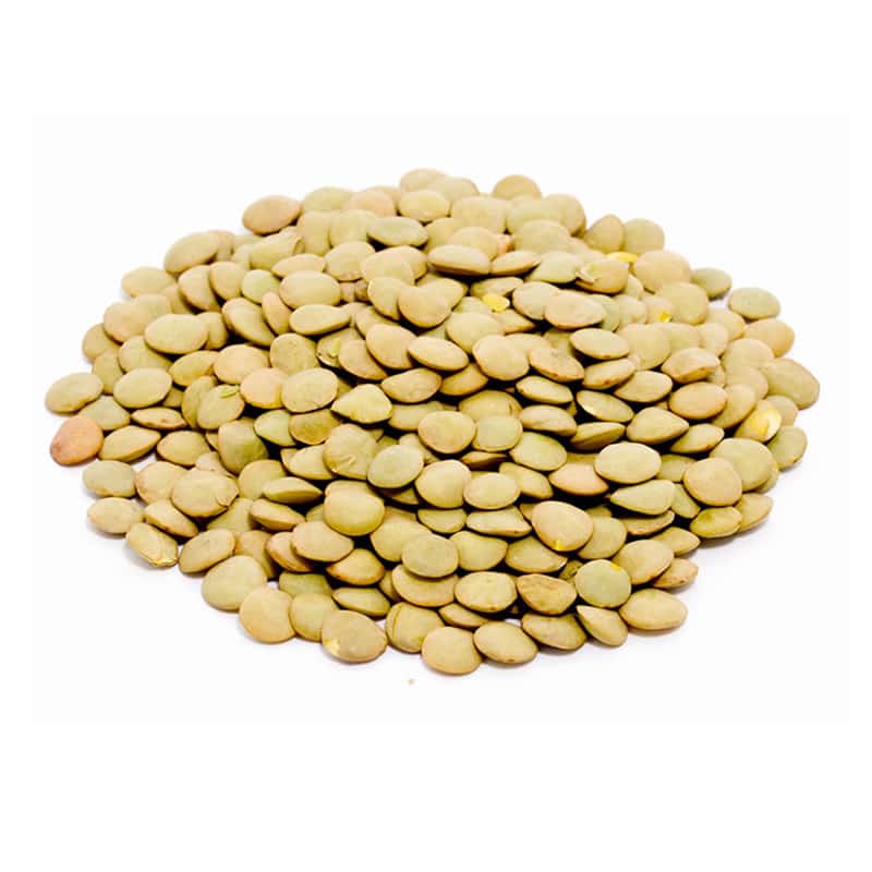 Green Laird Lentils Whole