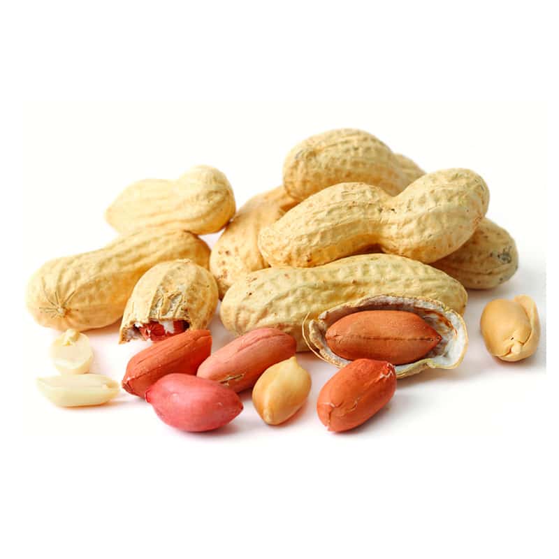Roasted Peanuts in the shell