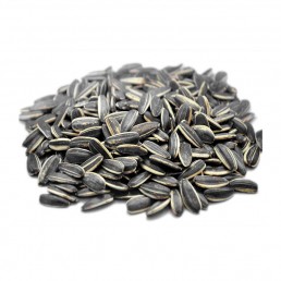 ROASTED SALTED SUNFLOWER SEEDS IN SHELL